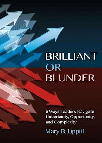 Brilliant or Blunder: 6 Ways Leaders Navigate Uncertainty, Opportunity and Complexity, Paperback
