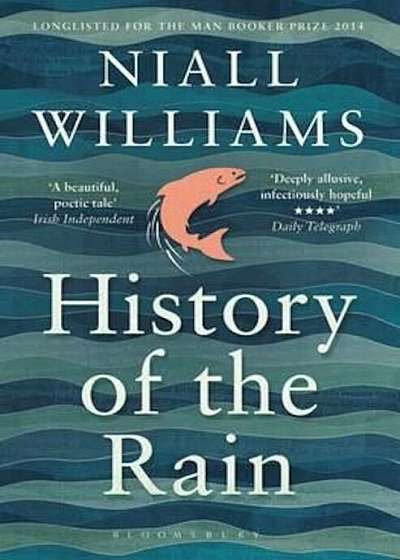 History of the Rain, Paperback