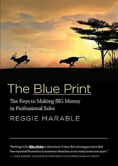 The Blue Print: The Keys to Making Big Money in Professional Sales, Paperback