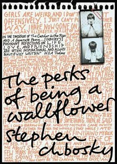 Perks of Being a Wallflower, Paperback