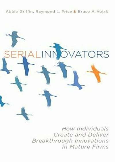 Serial Innovators: How Individuals Create and Deliver Breakthrough Innovations in Mature Firms, Hardcover