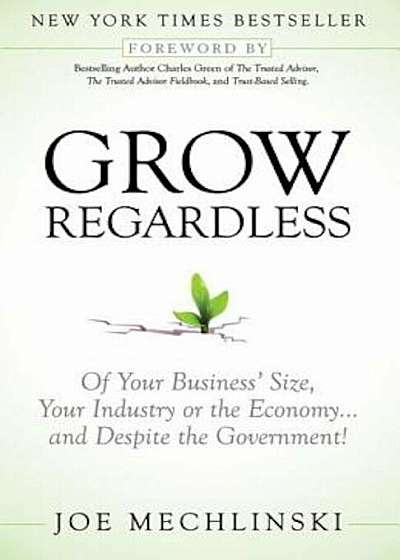 Grow Regardless: Of Your Business' Size, Your Industry or the Economy and Despite the Government!, Paperback
