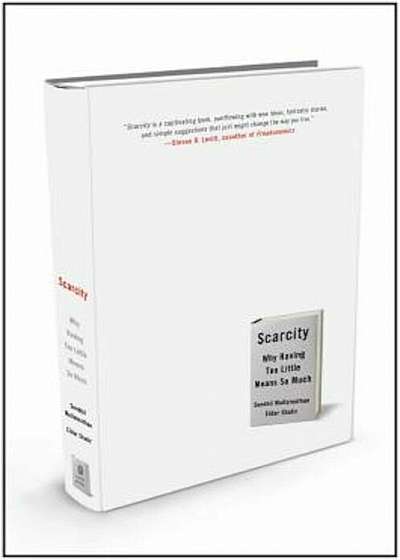 Scarcity: Why Having Too Little Means So Much, Hardcover