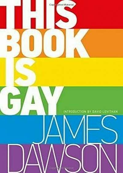 This Book Is Gay, Paperback