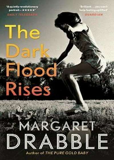 Dark Flood Rises, Paperback