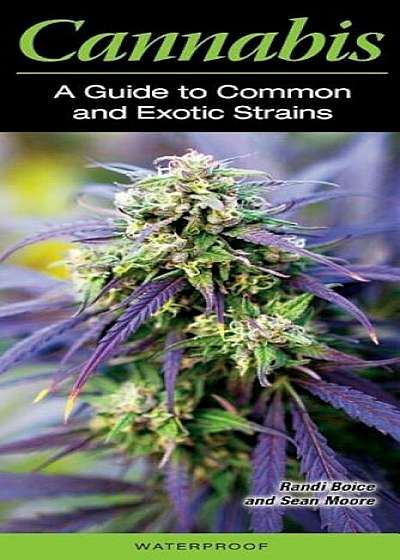 Cannabis a Guide to Common and Exotic Strains, Hardcover