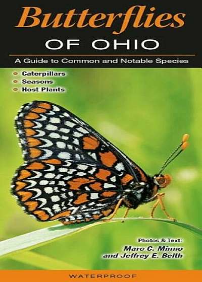 Butterflies of Ohio: A Guide to Common and Notable Species, Hardcover