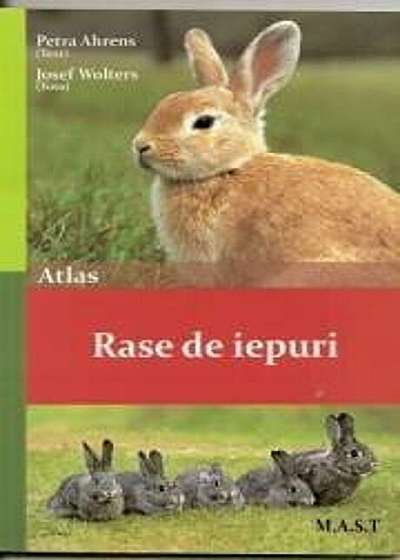 Rase de iepuri. Atlas