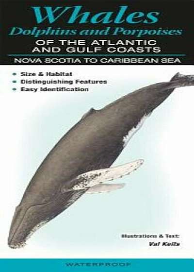 Whales, Dolphins and Porpoises of the Atlantic and Gulf Coasts: Nova Scotia to Caribbean Sea, Hardcover