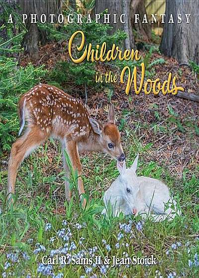 Children in the Woods, Hardcover