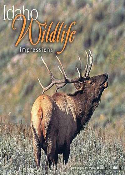 Idaho Wildlife Impressions, Paperback