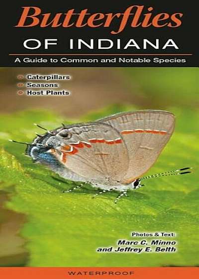 Butterflies of Indiana: A Guide to Common and Notable Species, Hardcover