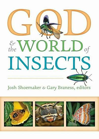 God & the World of Insects, Paperback