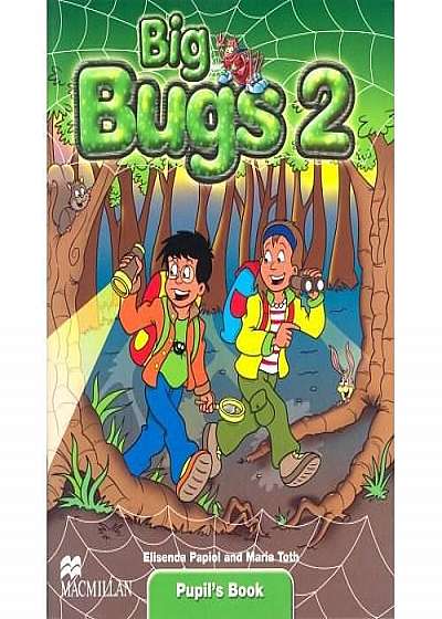 Big Bugs Level 2 Pupil's Book