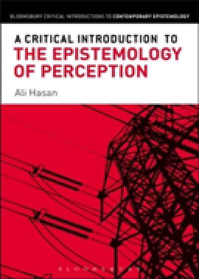 Coperta cărții A Critical Introduction to the Epistemology of Perception