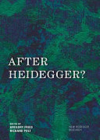 Coperta cărții After Heidegger?