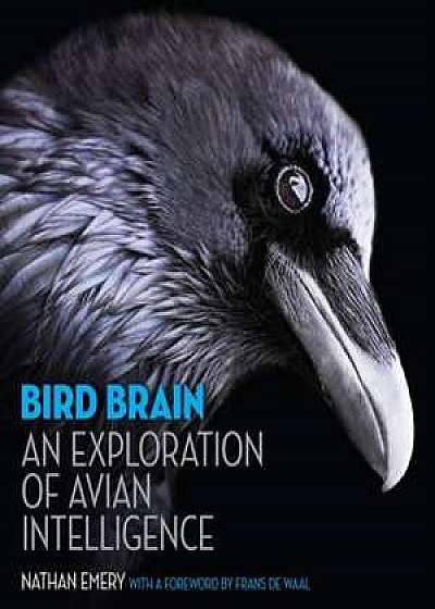 Bird Brain – An Exploration of Avian Intelligence