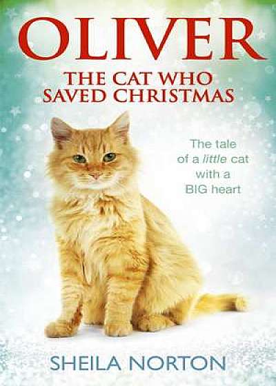 Oliver The Cat Who Saved Christmas