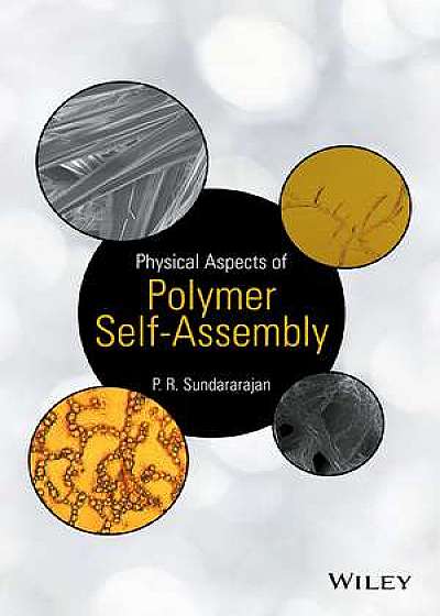 Physical Aspects of Polymer Self–Assembly