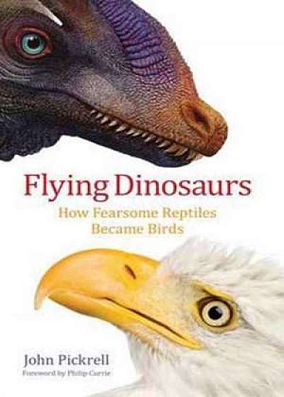 Flying Dinosaurs – How Fearsome Reptiles Became Birds