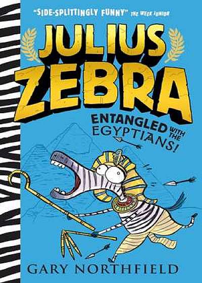 Julius Zebra 03: Engtangled with the Egyptians!