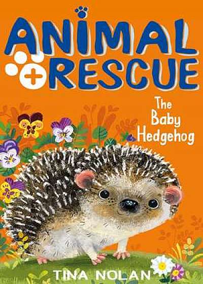The Baby Hedgehog