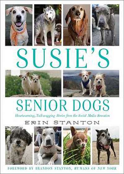 Susie's Senior Dogs