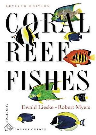 Coral Reef Fishes – Caribbean, Indian Ocean and Pacific Ocean Including the Red Sea – Revised Edition