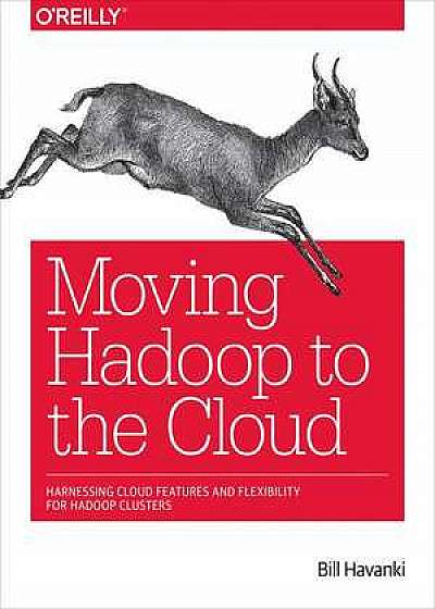Moving Hadoop in the Cloud