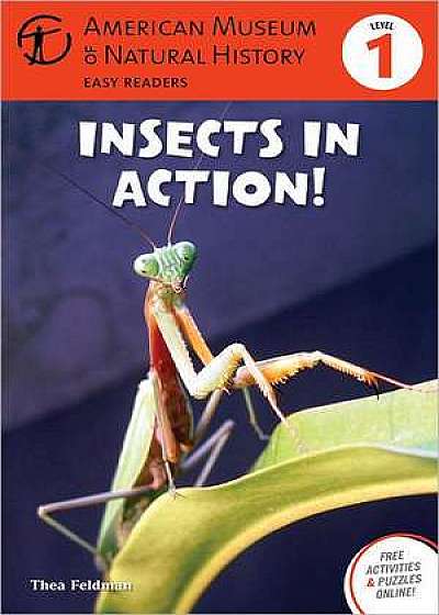 Insects in Action: (Level 1)