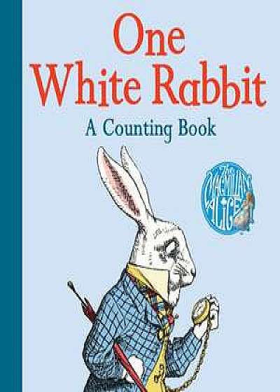 One White Rabbit: A Counting Book