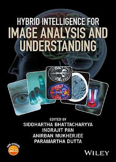 Hybrid Intelligence for Image Analysis and Understanding