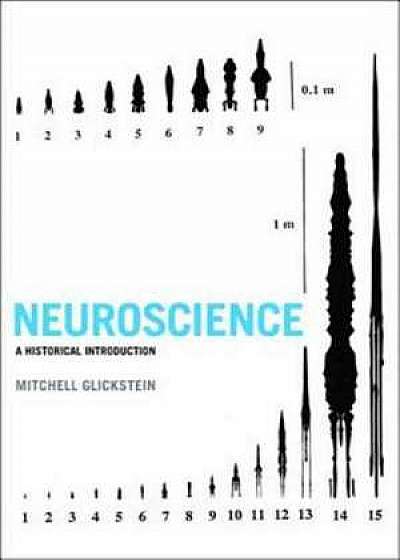 Neuroscience – A Historical Introduction