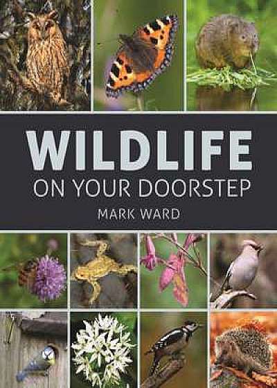 Wildlife on Your Doorstep