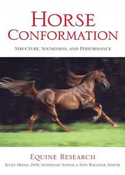 Horse Conformation