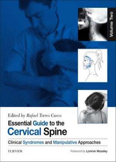 Essential Guide to the Cervical Spine