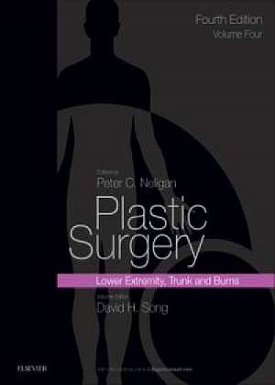 Plastic Surgery Volume 4: Trunk and Lower Extremity