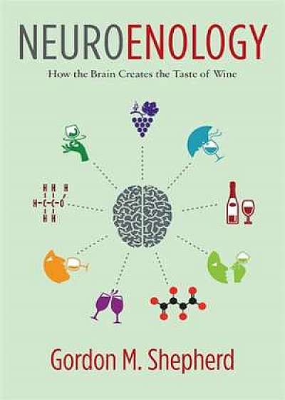 Neuroenology – How the Brain Creates the Taste of Wine