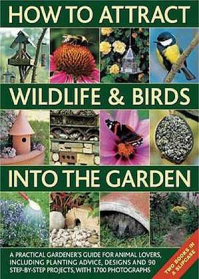 How to Attract Wildlife & Birds Into the Garden: A Practical Gardener's Guide for Animal Lovers, Including Planting Advice, Designs and 90 Step-By-Ste