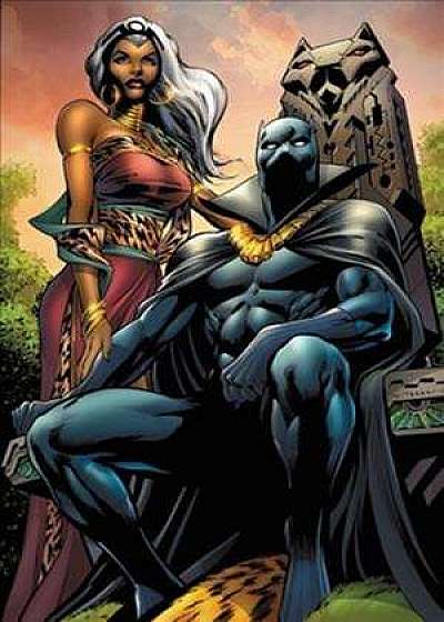 Black Panther By Reginald Hudlin: The Complete Collection Vol. 3