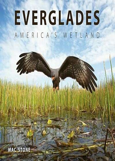 Everglades: America's Wetland, Hardcover