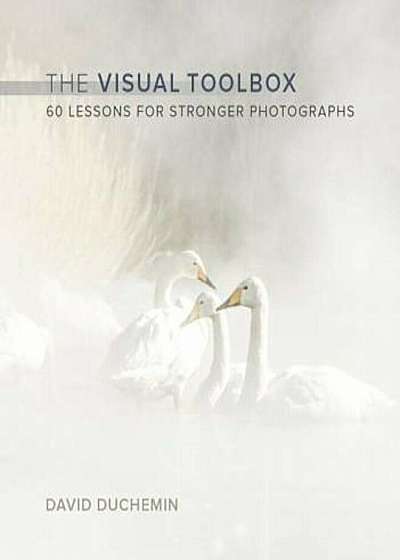 The Visual Toolbox: 60 Lessons for Stronger Photographs, Paperback
