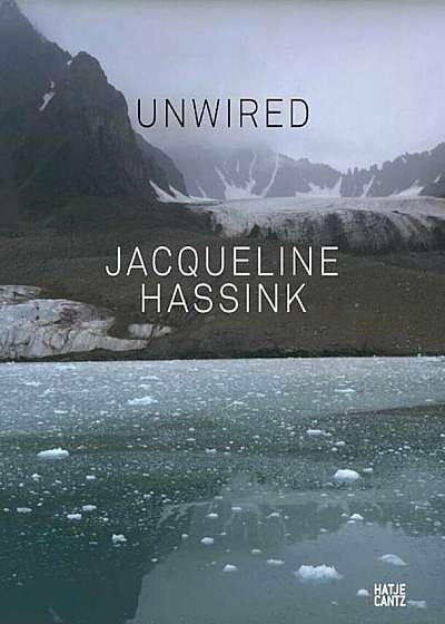 Jacqueline Hassink: Unwired, Paperback
