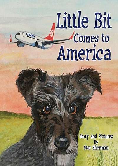 Little Bit Comes to America, Paperback