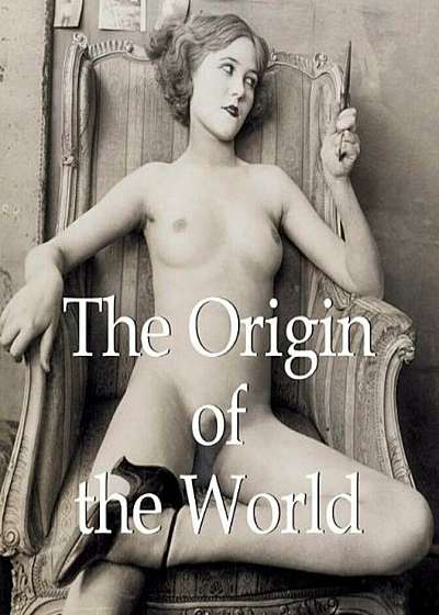 The Origin of the World, Hardcover