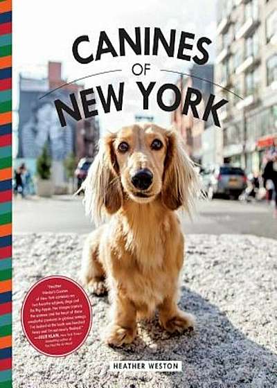 Canines of New York, Hardcover