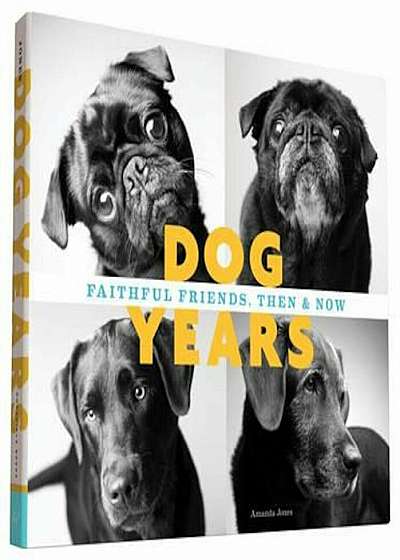 Dog Years, Hardcover
