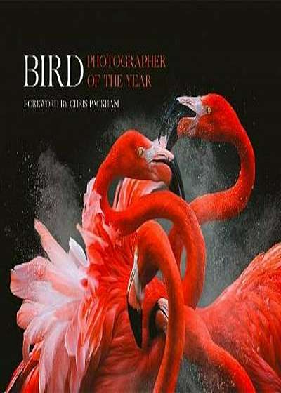 Bird Photographer of the Year: Collection 3, Hardcover