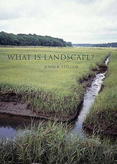 What Is Landscape', Paperback