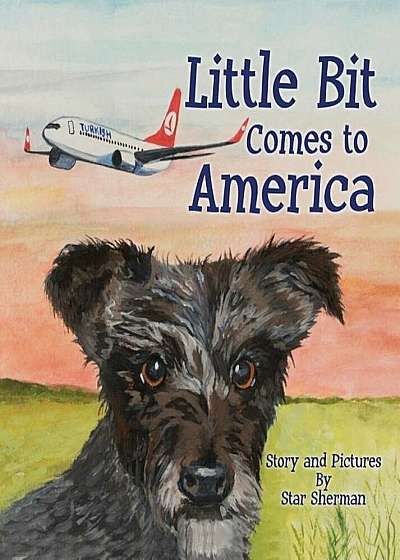 Little Bit Comes to America, Hardcover